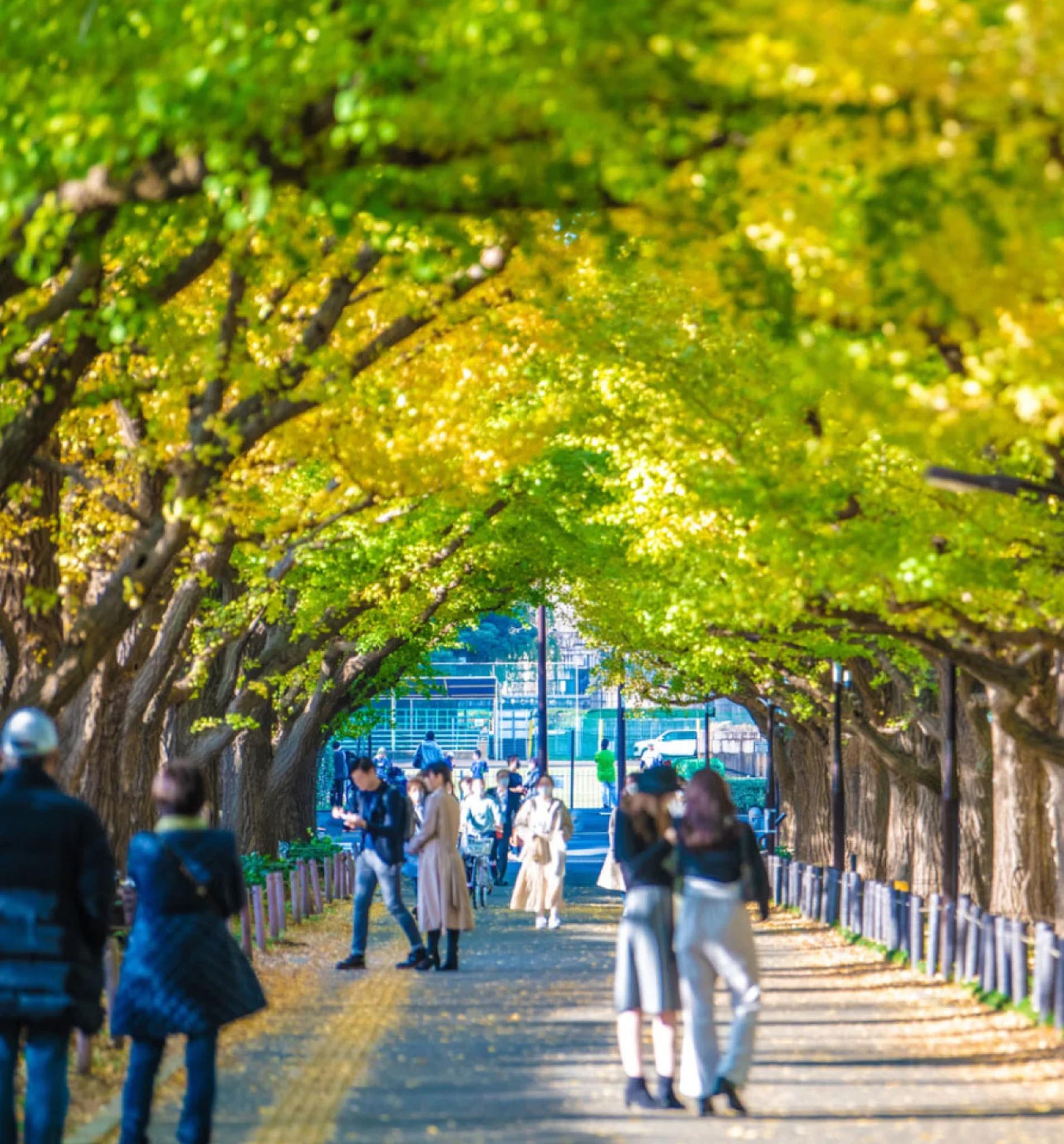 青山一丁目駅周辺